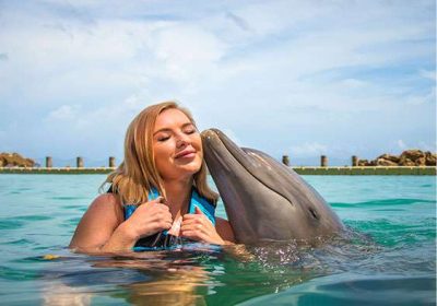 Plunge into a Sea of Excitement: The Joy of Swimming with Dolphins in Jamaica