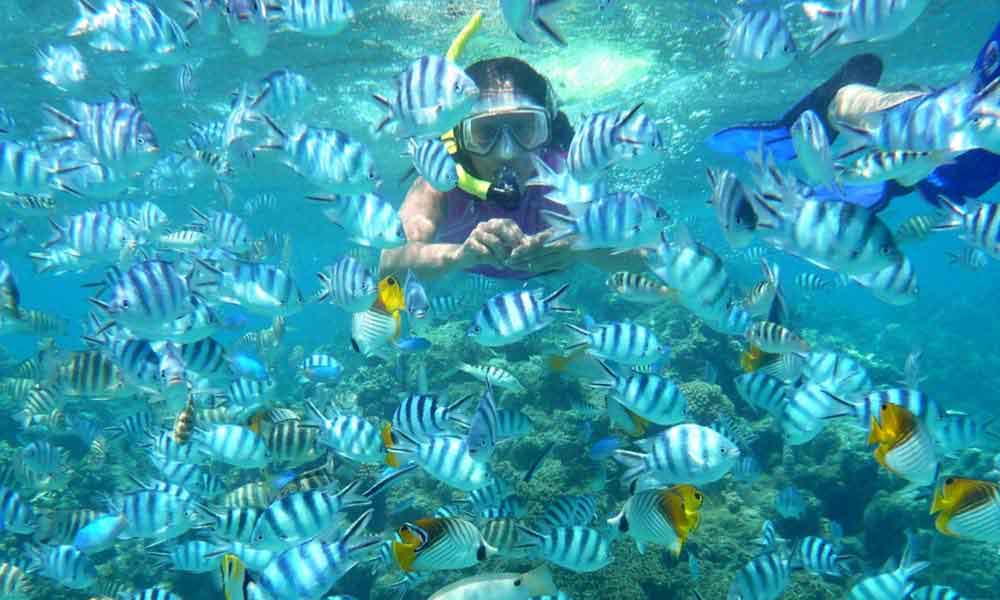 Snorkeling and Diving Adventures in Andaman