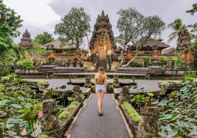 Exploring Bali: Travel Guidelines and Safety Measures for a Memorable Journey   