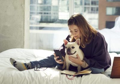 Journey with Your Furry Friend: Top Affordable Pet-Friendly Hotels in Your Area