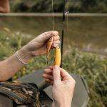 Top Fly Fishing Experiences in Yellowstone and Montana Waters