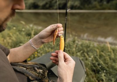 Top Fly Fishing Experiences in Yellowstone and Montana Waters