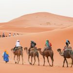 Why Marrakech Excursions Are Perfect for Group Travellers