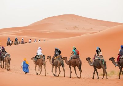 Why Marrakech Excursions Are Perfect for Group Travellers